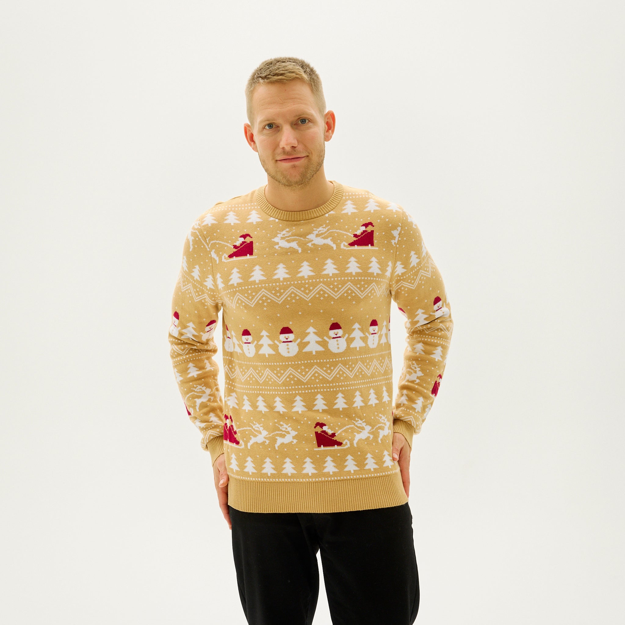 Le Pull De Noël Stylé Beige - Homme.